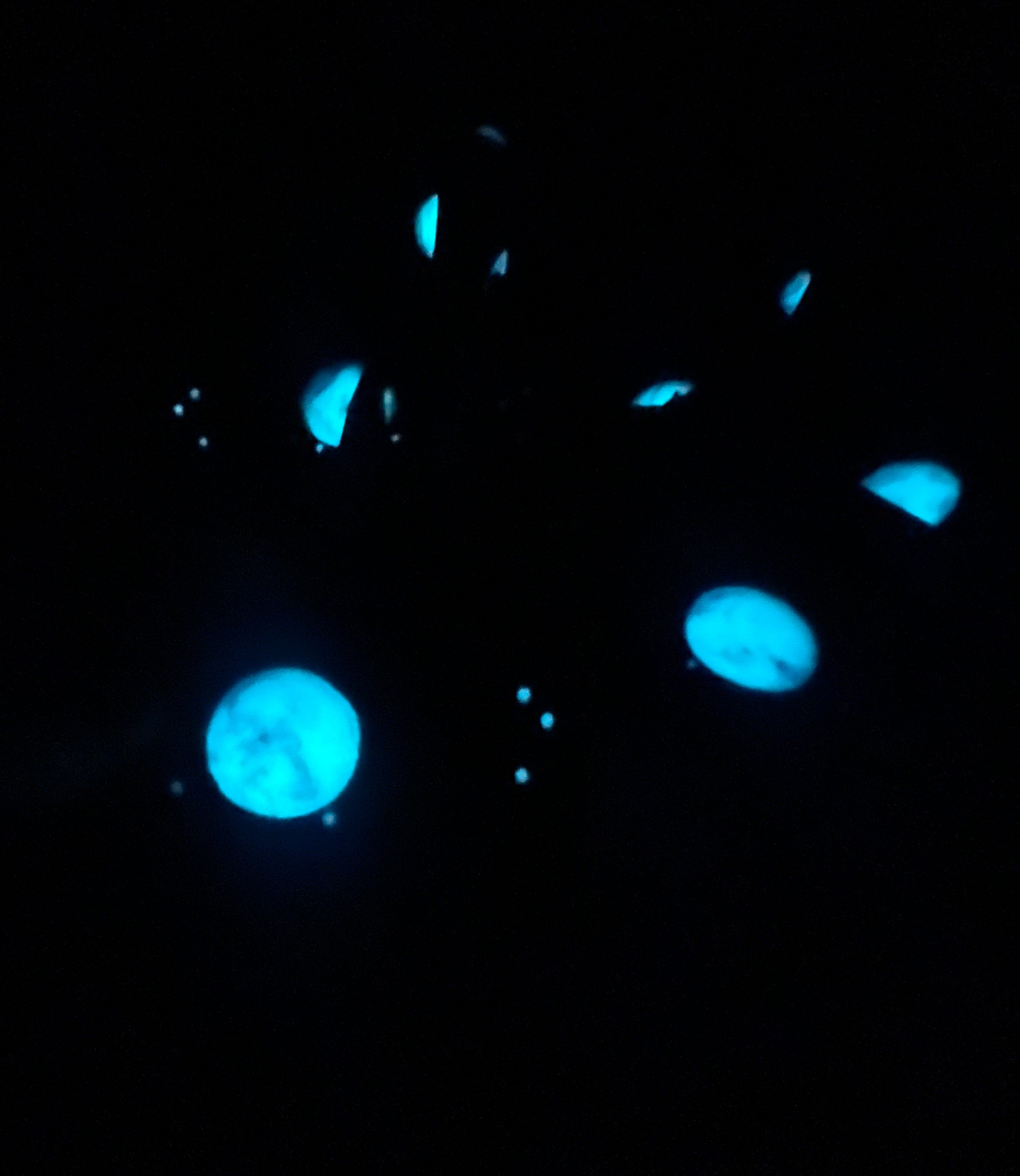 Magick Moon (GLOWS IN THE DARK | 100% Goat Milk Soap)