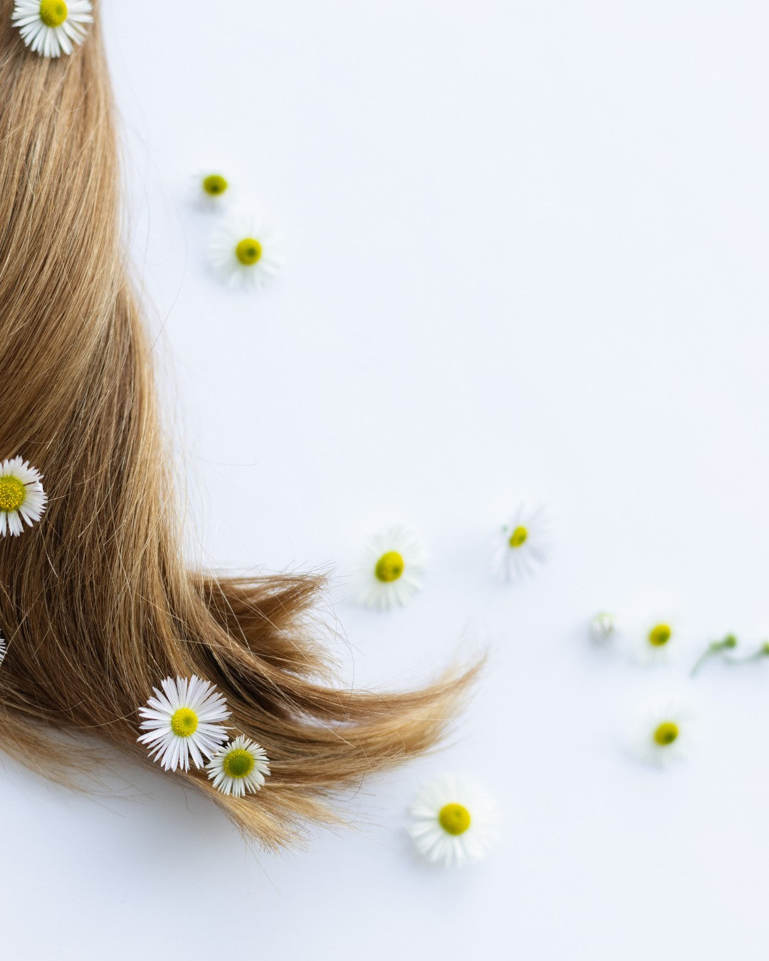 ✨ Hair Care That Cares ✨