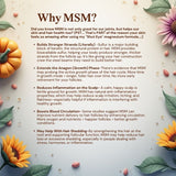 Molly Bubbles 'Root Milk' (Leave- in MSM Hair treatment) For Soft, Strong, rooted hair